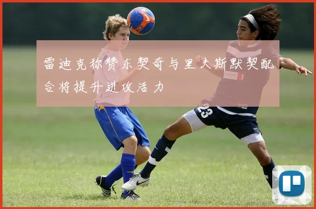 雷迪克称赞东契奇与里夫斯默契配合将提升进攻活力