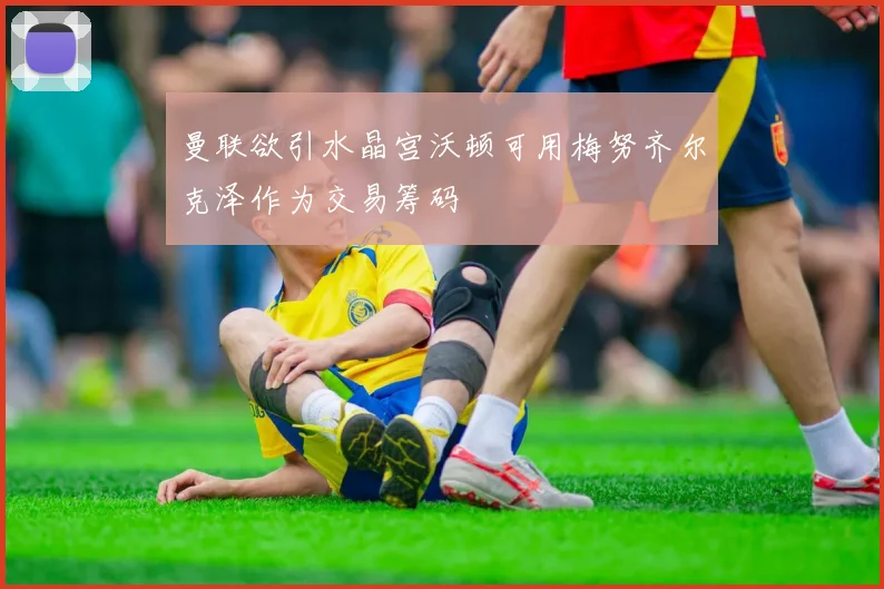 曼联欲引水晶宫沃顿可用梅努齐尔克泽作为交易筹码