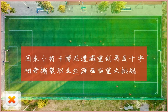 国米小将卡博尼遭遇重创再度十字韧带撕裂职业生涯面临重大挑战
