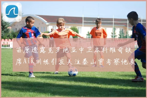 苗原透露克罗地亚中卫本科维奇缺席AIK训练引发关注泰山曾考察他表现